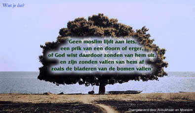 islam