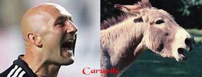 bartiz